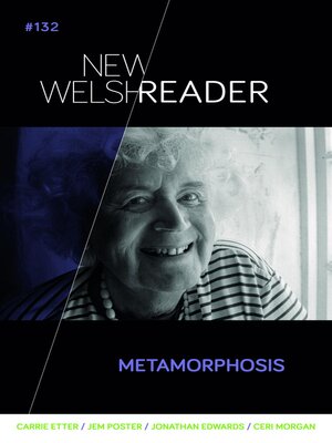 cover image of New Welsh Reader 132